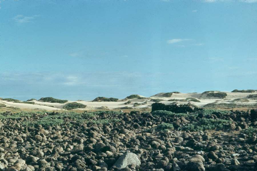 Cnc38RocksDunes.jpg