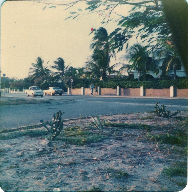 1976talkothtownfrmacrssstreet.jpg